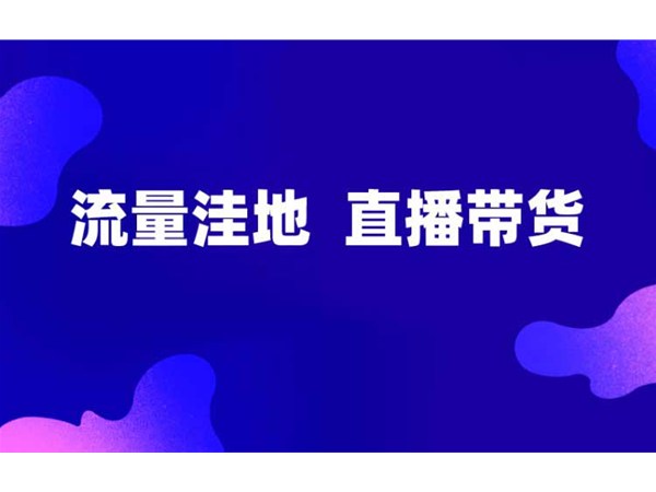 正播網(wǎng)紅直播帶貨，新的流量洼地！