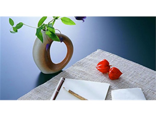 谷歌爬蟲(chóng)，google推廣爬蟲(chóng)如何抓取網(wǎng)頁(yè)